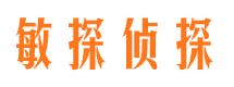 黔西南私家调查公司